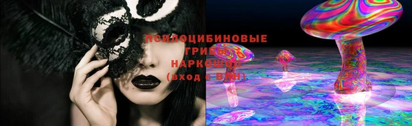 ешки Бронницы