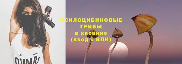 гашик Бугульма