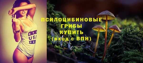 бутират Бородино
