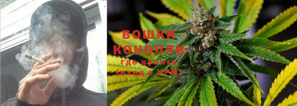 ешки Бронницы